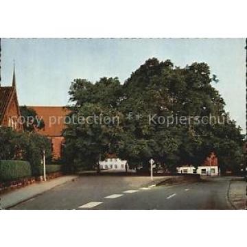 72484012 Bordesholm Wahrzeichen ca. 300jaehrige Linde Bordesholm