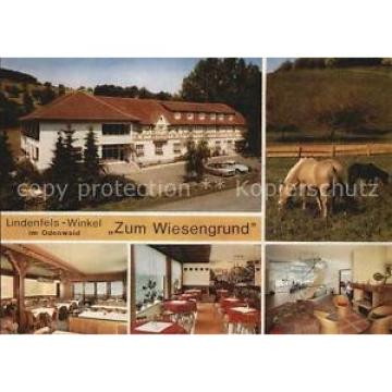 72453609 Winkel Odenwald Restaurant Cafe Zum Wiesengrund Gastraeume Pferde Linde