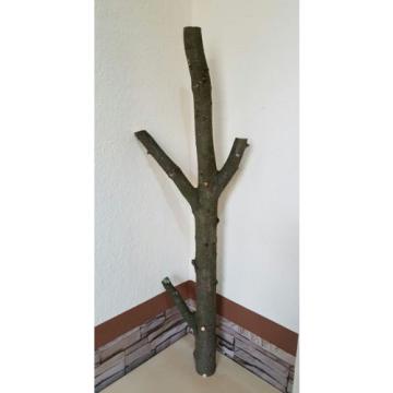 Baumstamm Linde verzweigt Ast Stamm Holz Skulptur Deko Terrarium Natur 89 cm