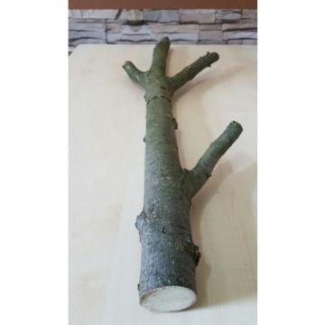 Baumstamm Linde verzweigt Ast Stamm Holz Skulptur Deko Terrarium Natur 89 cm