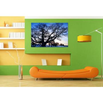 Stunning Poster Wall Art Decor Tree Linde Old Natural Monument 36x24 Inches