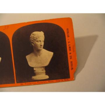 Sculpture Statuary Stereoview Photo cdii 10 Venus von Termini Linde Stolze AS-IS