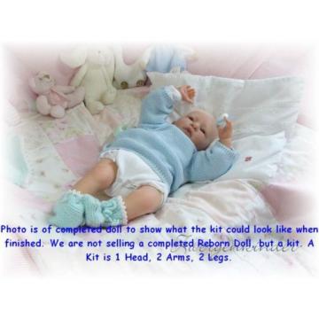 REBORN DOLL KIT, DANIEL BY LINDE SCHERER, VINYL DOLL KIT, NEW