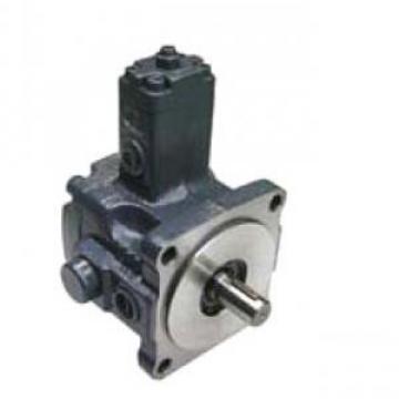 VPE-F24-D-10 Vane Pump