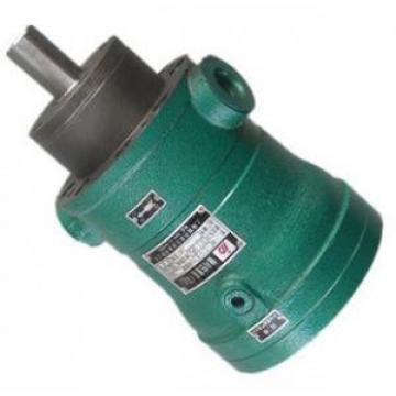 40MCY14-1B  fixed displacement piston pump