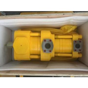 Sumitomo QT5223-63-6.3F Double Gear Pump