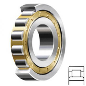 SKF NU 317 ECM/C3VL0241 Cylindrical Roller Bearings