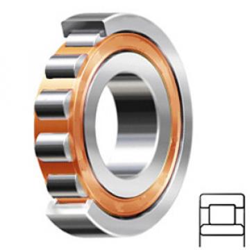 SKF NU 2226 ECP/C3 Cylindrical Roller Bearings