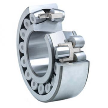 NSK 22213EAKE4C3 Spherical Roller Bearings