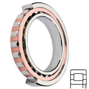 SKF NUP 205 ECP/C3 Cylindrical Roller Bearings