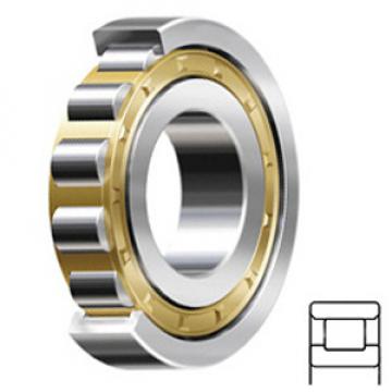 NSK N206M Cylindrical Roller Bearings