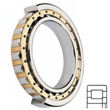 FAG BEARING NUP2217E.M1.C3.F1 Cylindrical Roller Bearings