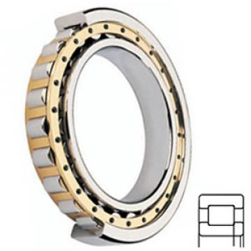 FAG BEARING NUP2324-E-M1 Cylindrical Roller Bearings