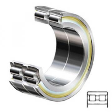 INA SL045008-PP-C3 Cylindrical Roller Bearings