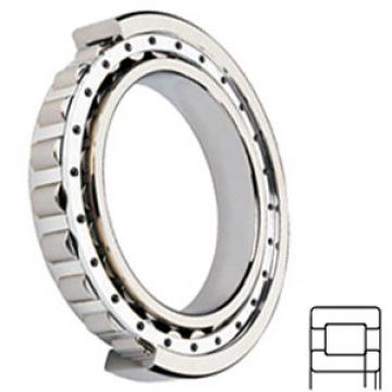 FAG BEARING NUP310-E-C3 Cylindrical Roller Bearings