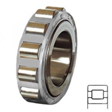 NTN MU1012L Cylindrical Roller Bearings