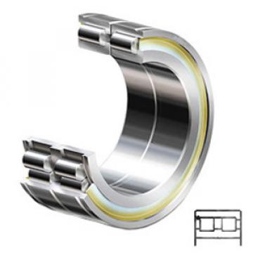 INA SL04220PP Cylindrical Roller Bearings