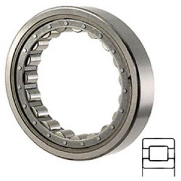 NTN M1014EAHL Cylindrical Roller Bearings