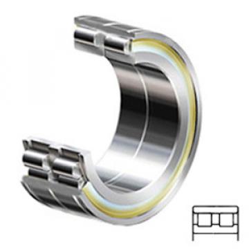 INA SL024918 C3 Cylindrical Roller Bearings