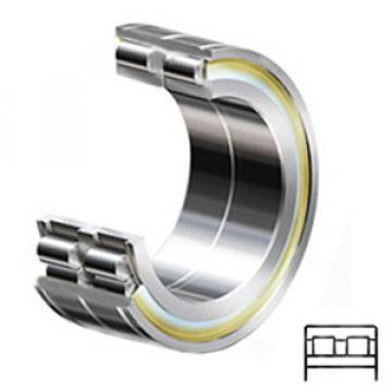 INA SL06020-E Cylindrical Roller Bearings