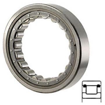 NTN R1558TAV Cylindrical Roller Bearings