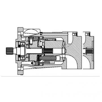 Dansion P080 series pump P080-02L1C-K50-00