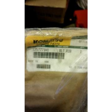 KOMATSU GENUINE PART#1257771H1  RIBBED BELT